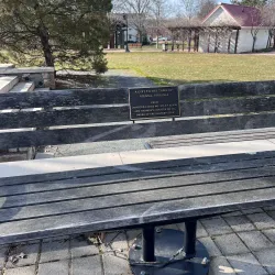 Vienna Town Green - Vienna