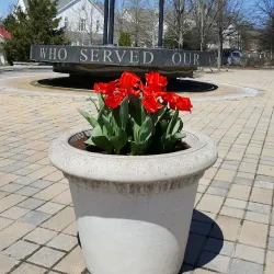 Vienna Town Green - Vienna