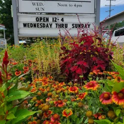 Vienna Town Green - Vienna
