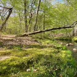 Wolf Trap National Park for the Performing Arts - Vienna