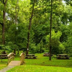 Chapman DeMary Trail - Warrenton