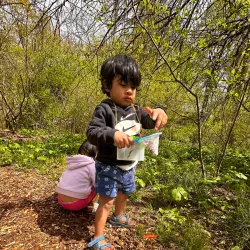 Chapman DeMary Trail - Warrenton