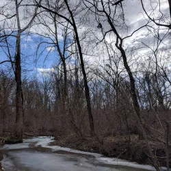 Chapman DeMary Trail - Warrenton