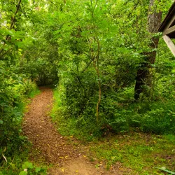 Chapman DeMary Trail - Warrenton