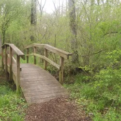 Chapman DeMary Trail - Warrenton