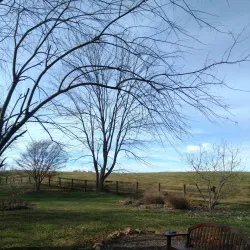 Rady Park - Warrenton