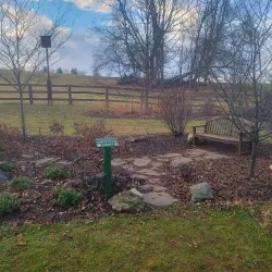 Rady Park - Warrenton