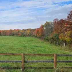 Rady Park - Warrenton