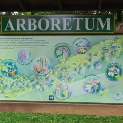 Rady Park - Warrenton