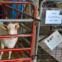 The Fauquier County Fairgrounds - Warrenton