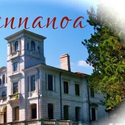 Swannanoa Mansion - Waynesboro