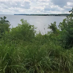 Occoquan Bay National Wildlife Refuge - Woodbridge