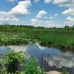 Occoquan Bay National Wildlife Refuge - Woodbridge
