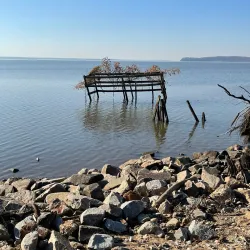 Occoquan Bay National Wildlife Refuge - Woodbridge