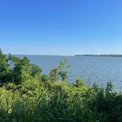 Occoquan Bay National Wildlife Refuge - Woodbridge
