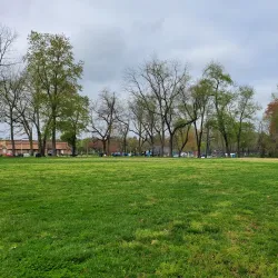 Veterans Park - Woodbridge