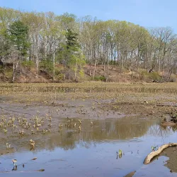 Veterans Park - Woodbridge