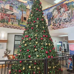 Woodbridge Community Center - Woodbridge