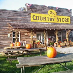 Big Walker Lookout - Wytheville