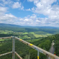 Big Walker Lookout - Wytheville