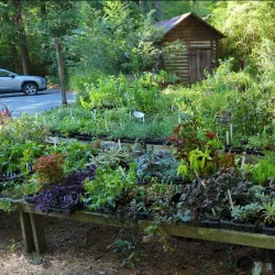 Cedar Creek Gallery - Wytheville