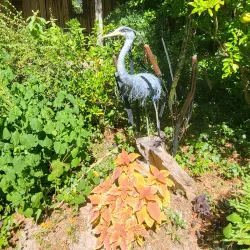 Cedar Creek Gallery - Wytheville