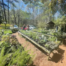 Cedar Creek Gallery - Wytheville