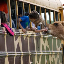 Fort Chiswell Animal Park - Wytheville