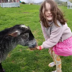 Fort Chiswell Animal Park - Wytheville