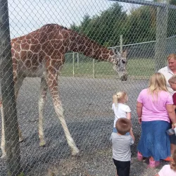 Fort Chiswell Animal Park - Wytheville