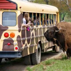 Fort Chiswell Animal Park - Wytheville