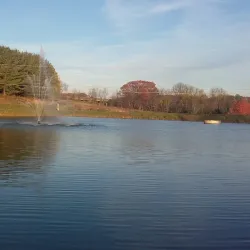 Wytheville Community College - Wytheville