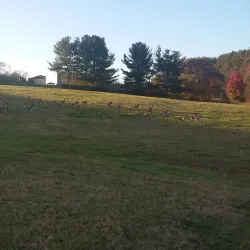 Wytheville Community College - Wytheville