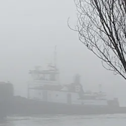 Aberdeen City Park - Aberdeen