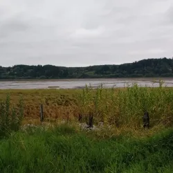 Bowerman Basin Wildlife Area - Aberdeen
