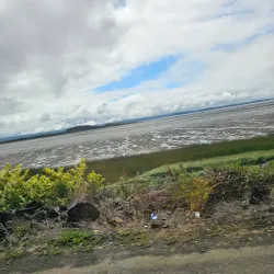Bowerman Basin Wildlife Area - Aberdeen