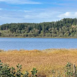Bowerman Basin Wildlife Area - Aberdeen