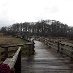 Bowerman Basin Wildlife Area - Aberdeen
