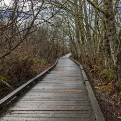 Bowerman Basin Wildlife Area - Aberdeen