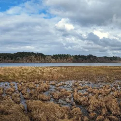 Bowerman Basin Wildlife Area - Aberdeen