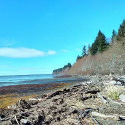Bowerman Basin Wildlife Area - Aberdeen