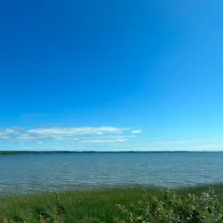 Bowerman Basin Wildlife Area - Aberdeen