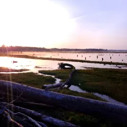 Bowerman Basin Wildlife Area - Aberdeen