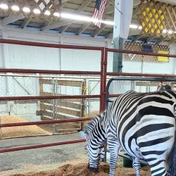 Grays Harbor County Fairgrounds - Aberdeen