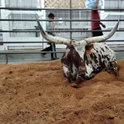 Grays Harbor County Fairgrounds - Aberdeen
