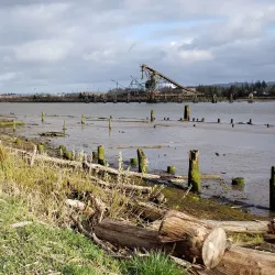 Wishkah River Waterfront Park - Aberdeen