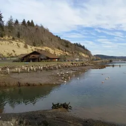 Wishkah River Waterfront Park - Aberdeen