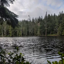 Anacortes Community Forest Lands - Anacortes