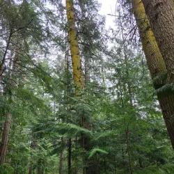 Anacortes Community Forest Lands - Anacortes