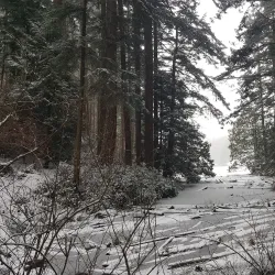 Anacortes Community Forest Lands - Anacortes